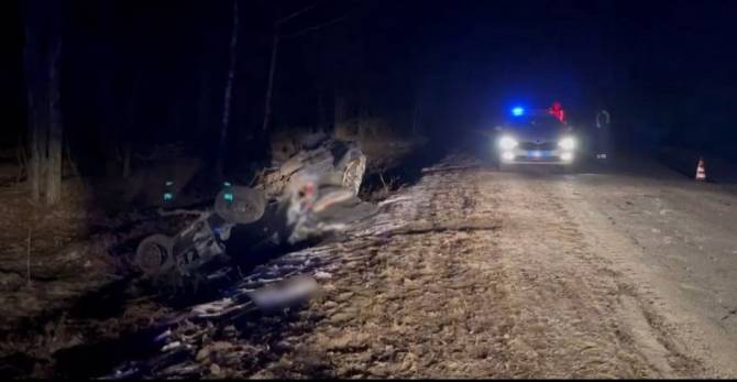 Под Новозыбковом насмерть разбился 50-летний водитель Kia 