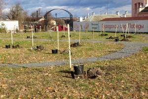 В Брянске в Саду Победы высадили 25 кустов сирени и 25 яблонь