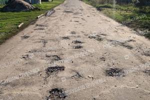 Жители Трубчевского района пожаловались на кошмарную дорогу к школе