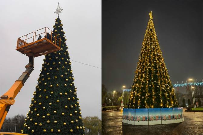 В Брянск главную городскую ёлку привезут 4 декабря