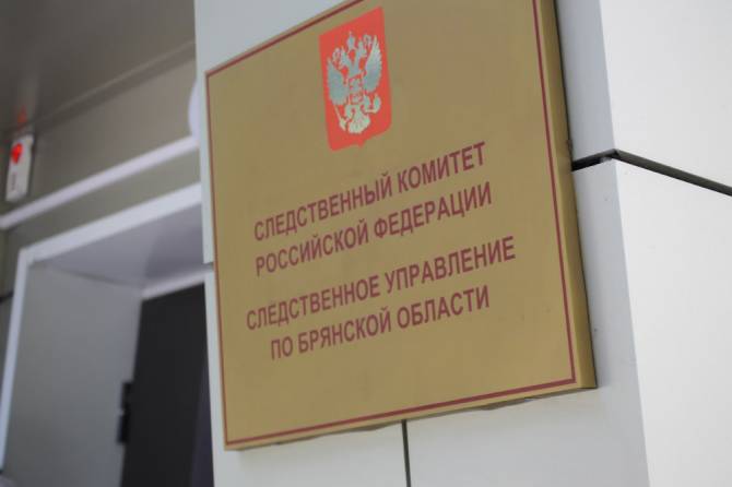 В Брянской области возбудили уголовное дело по факту гибели школьницы в Жуковке