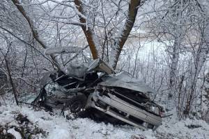 На брянской трассе 34-летняя женщина на «ВАЗ» погибла, попав под фуру