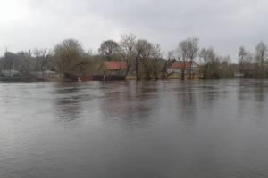 В Брянске из-за паводка затоплены 22 дома и 440 приусадебных участка