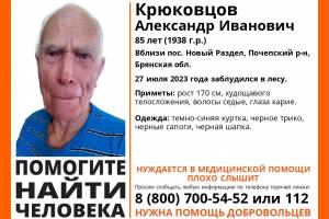 В Брянской области заблудился в лесу и пропал 85-летний Александр Крюковцов