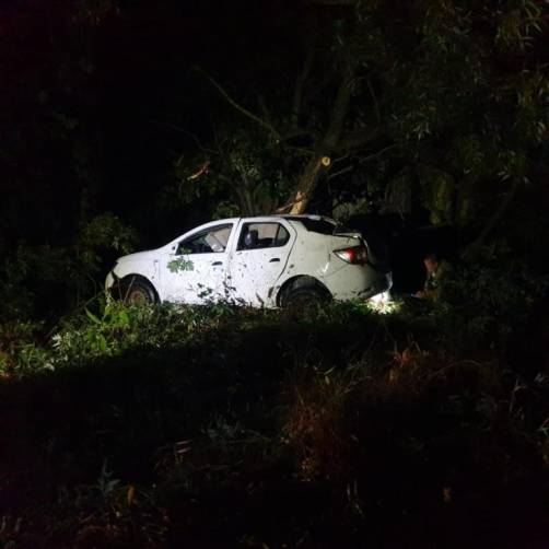 Под Новозыбковом водитель Renault врезался в дерево и разбил голову