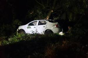 Под Новозыбковом водитель Renault врезался в дерево и разбил голову