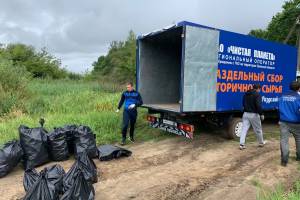 Эко-активисты очистили берег брянского озера от мусора