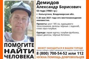 Брянцев просят помочь найти пропавшего мужчину из Владимирской области