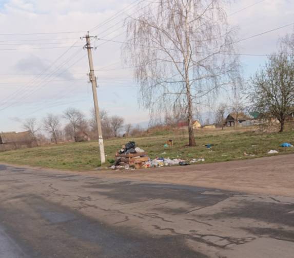 В Новозыбкове мусорная площадка превратилась в свалку