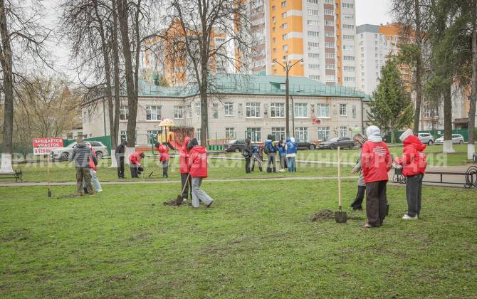 В Брянске высадили 15 саженцев кленов к 40-й годовщине чернобыльской аварии