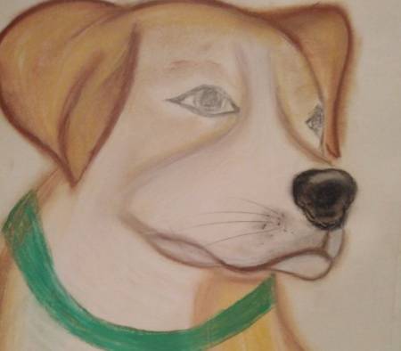 Арина Седнева из Брянской области стала призером конкурса рисунков о фронтовых собаках