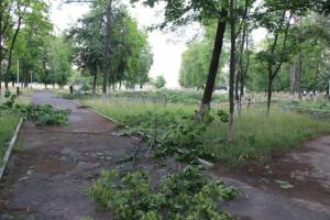 В Клинцах у чиновников требуют объяснить уничтожение деревьев в парке Воровского