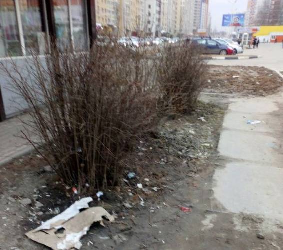 В Брянске остановка возле госуниверситета утонула в мусоре