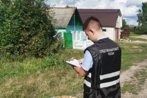 В Климово следователи выясняют обстоятельства падения ребёнка в люк