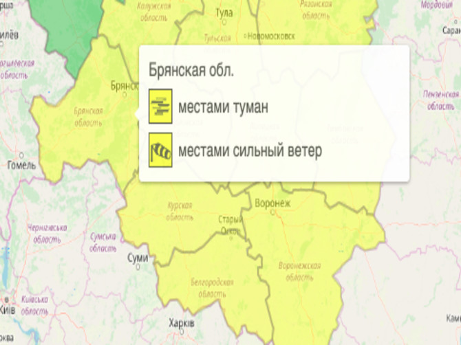 В Брянской области объявили жёлтый уровень опасности