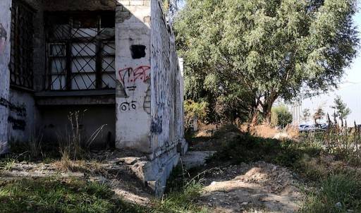 Бездорожье, бродячие собаки и заброшки угрожают брянским школьникам