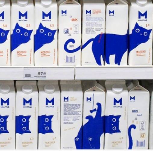 Брянские котики с упаковки молока покорили пользователей «Пикабу»