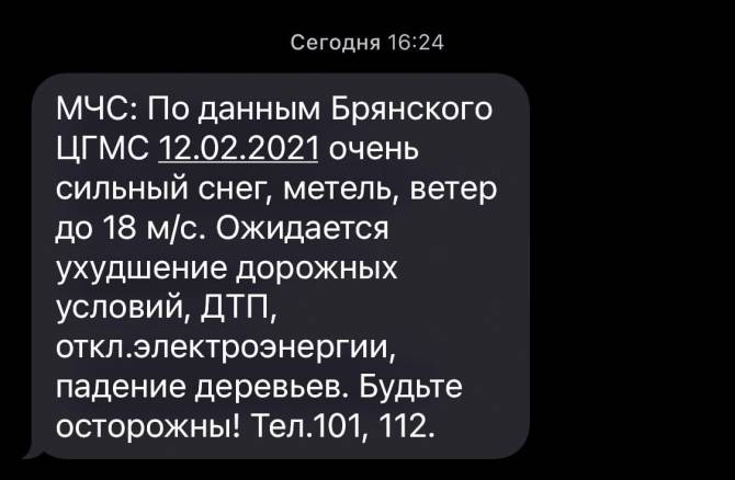 МЧС предупредило брянцев о метели через SMS