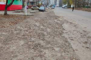 В Брянске по улице Молодой Гвардии исчез тротуар