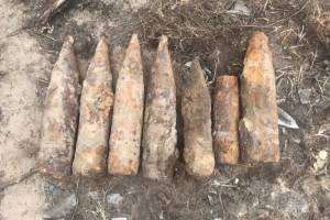 В Брянской области нашли мину и 8 артиллерийских снарядов