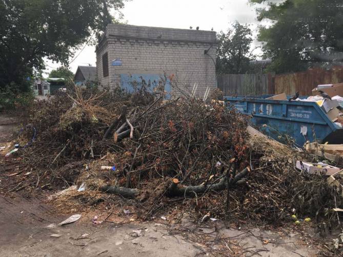 В Брянске мусорные контейнеры на Станке Димитрова завалили обрубленными ветками