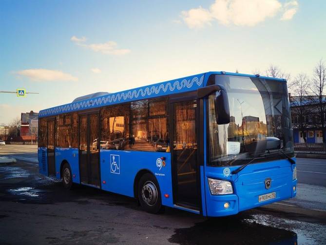 В брянском автобусе пенсионеру порвало губу