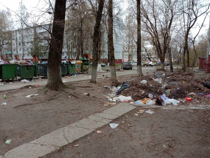 В Брянске больше года не могут убрать свинарник по улице Орловской