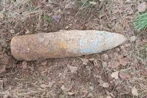 В лесу рядом с брянским поселком Сеща нашли артиллерийский снаряд
