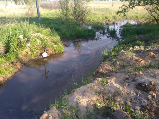 Погарский консервный завод обвинили в загрязнении природы
