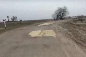 Брянцев насмешил ремонт дороги в родном селе лыжника Большунова