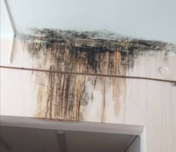 Главврача Климовской ЦРБ наказали за протечку потолка в палате