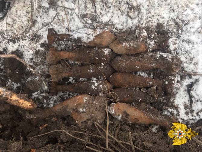 В Брянской области откопали 11 мин и две гранаты
