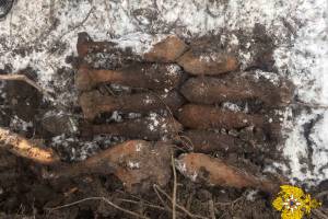 В Брянской области откопали 11 мин и две гранаты