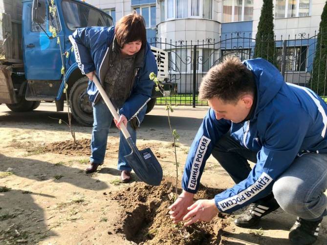 В Фокинском районе высадили 80 деревьев к 80-летию освобождения Брянска