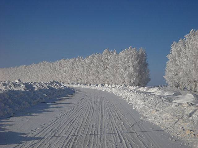 В Брянской области 9 февраля ожидается до -14 градусов