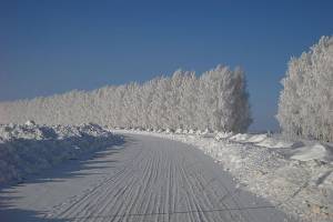 В Брянской области 9 февраля ожидается до -14 градусов