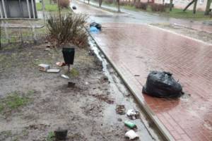 Жители Навли напомнили местным властям про «забытый» после субботника мусор