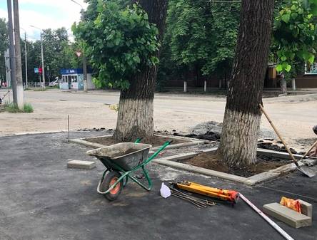В Брянске на «Молодёжке» из плена асфальта спасли деревья