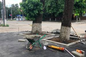 В Брянске на «Молодёжке» из плена асфальта спасли деревья