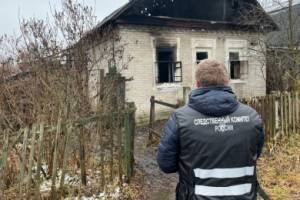 В Брянске следователи выяснят причину смертельного пожара на Гвардейской