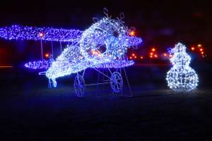 В Брянске к Новому году установят 250 светящихся инсталляций