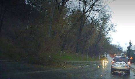 В Брянске на улице Калинина рухнувшее дерево перегородило половину дороги