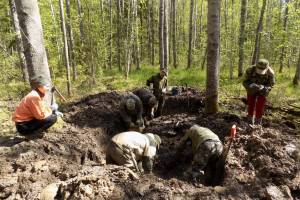 Под Новгородом поисковики нашли останки погибшего брянского солдата