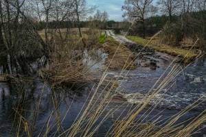 В Карачевском районе лесная река снесла кусок дамбы и дороги