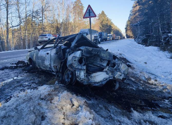 В Брянске осудят водителя за жуткую смерть пассажирки в горящей Audi 