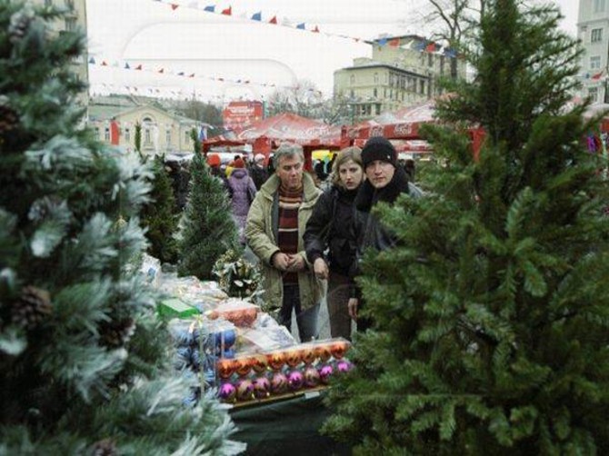В Брянске елочные базары заработают с 19 декабря