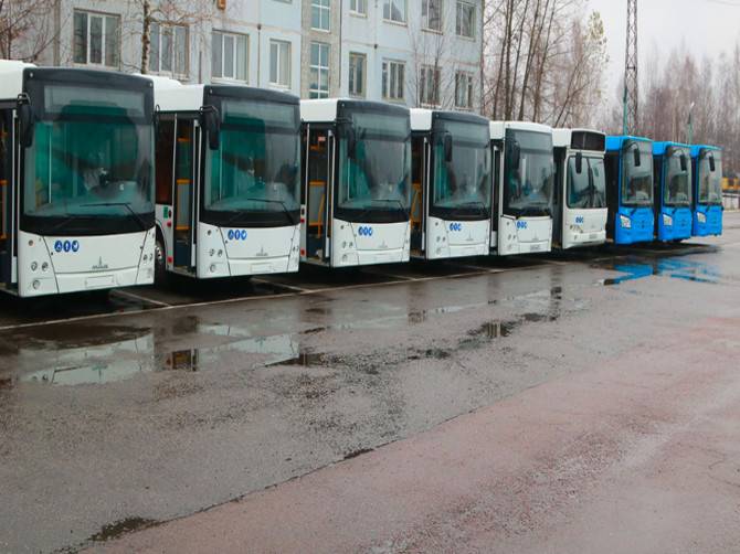 В Брянской администрации не поверили в жалобы водителей автобусов
