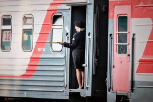 В поезде Москва-Климово пассажир украл мобильник у проводника
