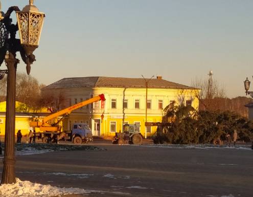 В поселке Климово начали установку новогодней ели
