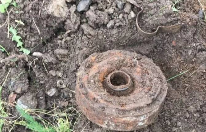 В Брасовском районе обезвредили 6 противопехотных мин